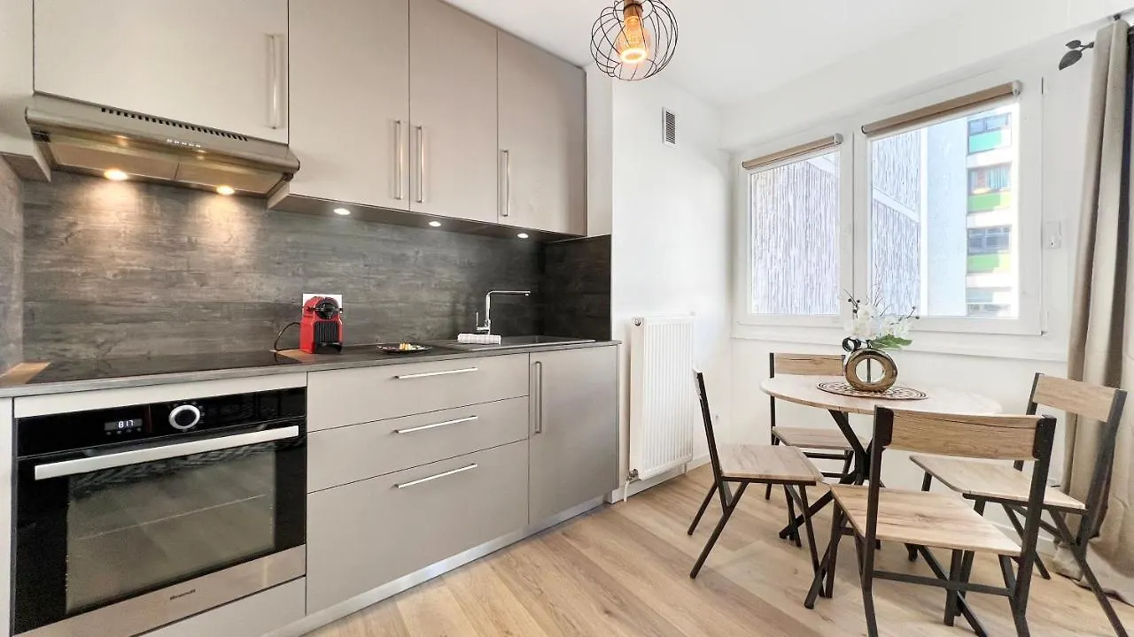 Homey Grey - Proche Gare Et Tram - Proche Centre - Balcon Prive - Wifi Et Netflix Annemasse Apartment